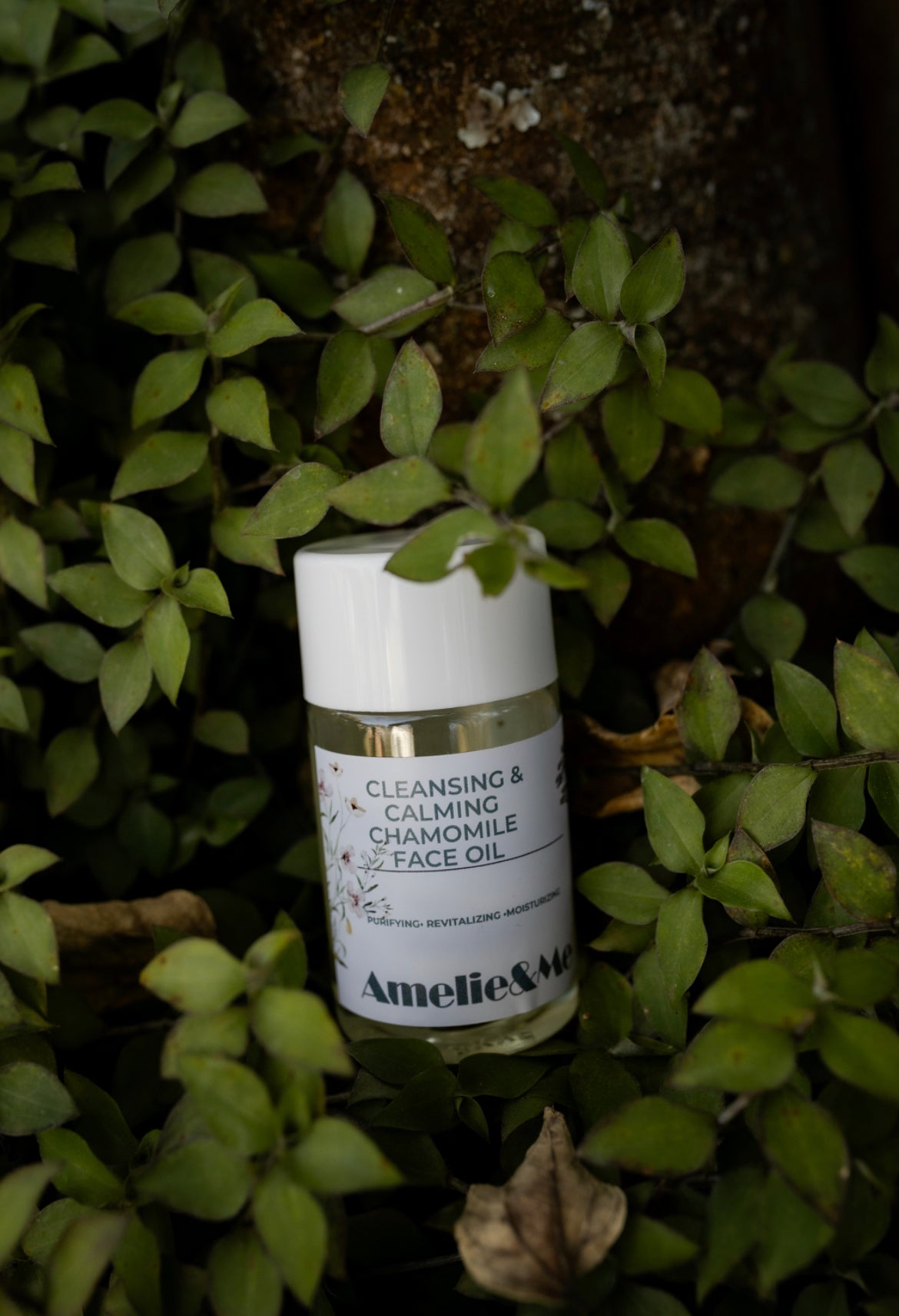 Cleansing and Calming Chamomile Face Oil
