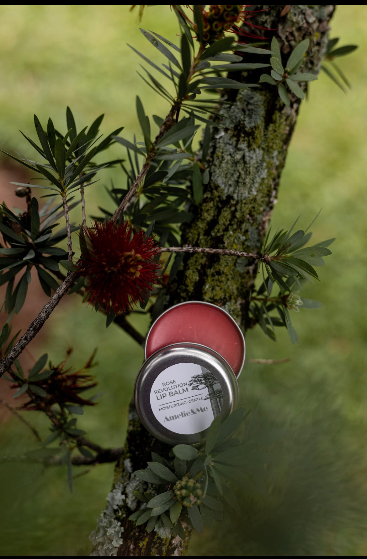Rose Revolution Lip Balm