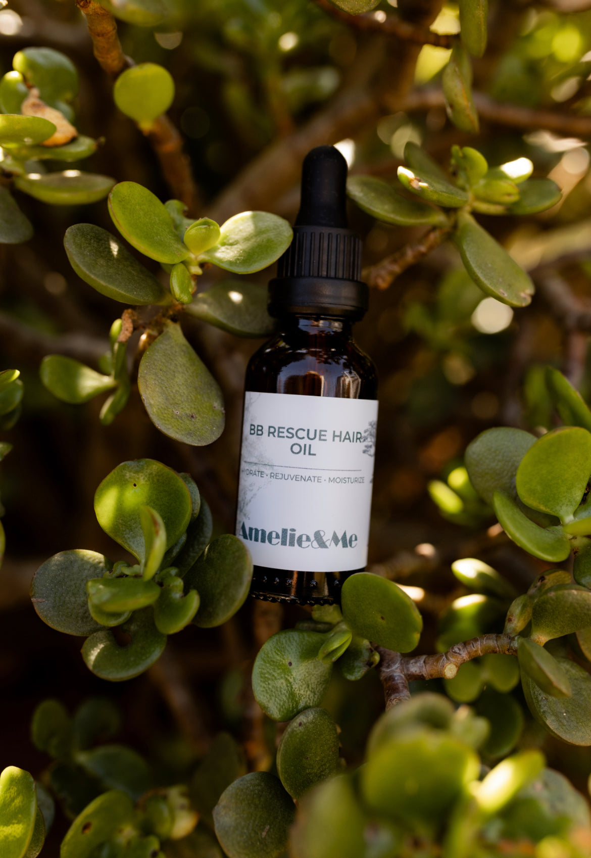 BB Hair Rescue Oil