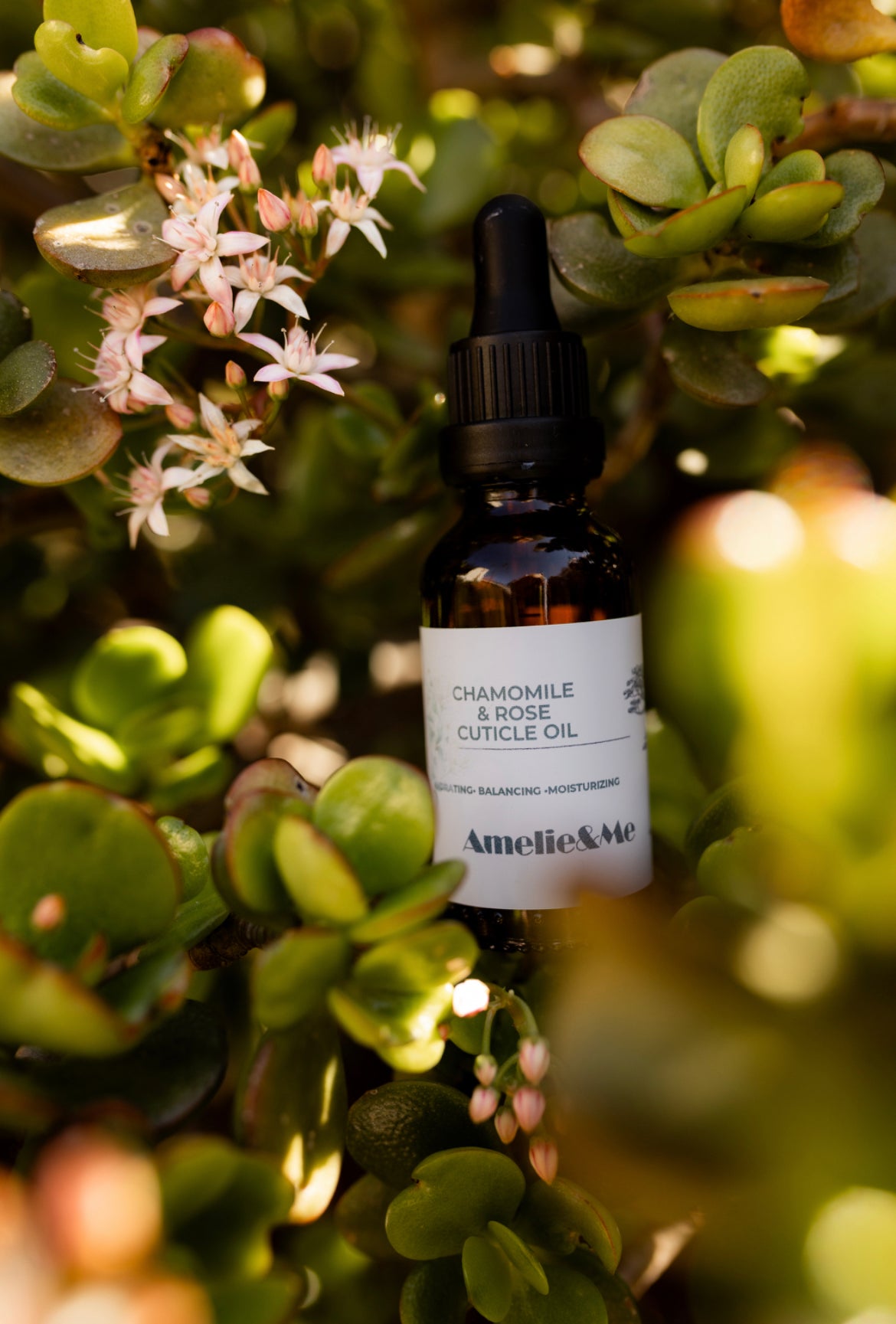 Chamomile & Rose Cuticle and Hand Massage Oil