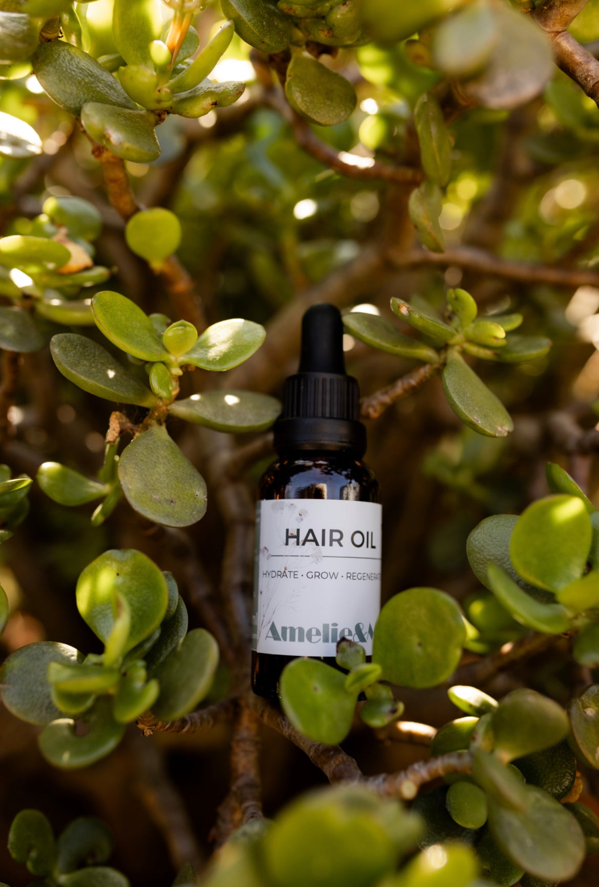 Hair Oil
